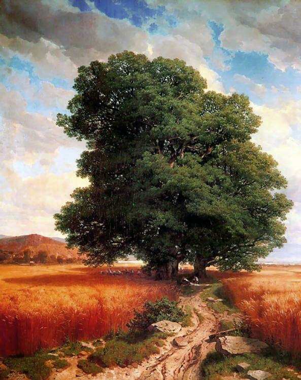 Calame, Oak Tree, 1566